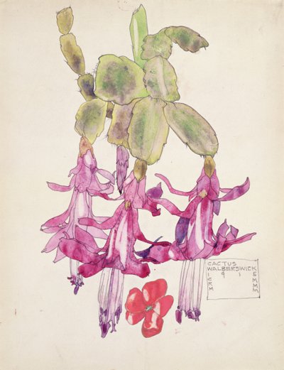 Flor de cacto de Charles Rennie Mackintosh